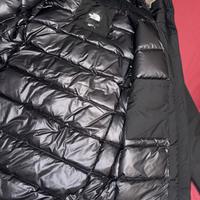 The north face parka