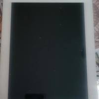Apple-iPad 16 GB colore bianco