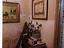 Immagine 9
