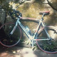 BIANCHI VIA NIRONE 7