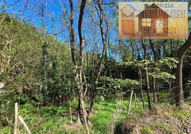 Terreno di 8900 m² a Carmignano