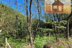 Terreno di 8900 m² a Carmignano