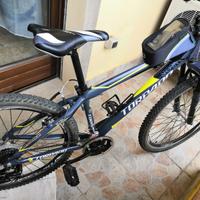 Bici Torpado 26