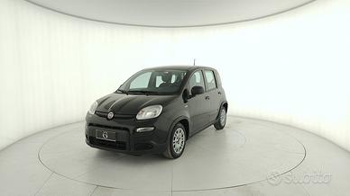 FIAT Panda 1.0 firefly hybrid s&s 70cv 5p.ti