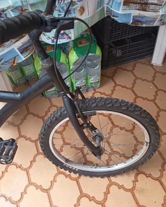 Bicicletta  20