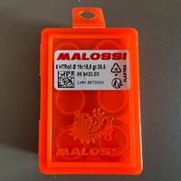 rulli malossi 19x16,6 gr 5.5