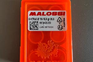 rulli malossi 19x16,6 gr 5.5