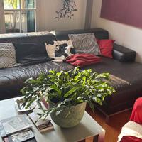 Divano kivik ikea