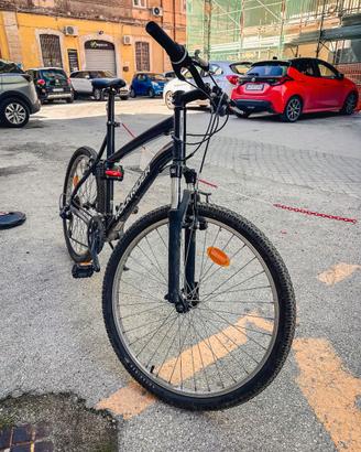 Bicicletta RockRider ST50 + Seggiolino Groovy FF