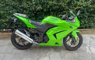 Kawasaki NINJA 250R