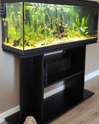 Acquario