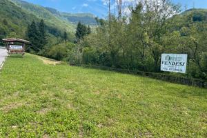 Rustico da riattare con ampia area