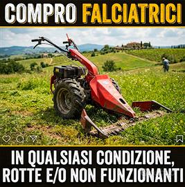 Motofalciatrice tipo BCS