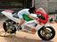 Immagine 3