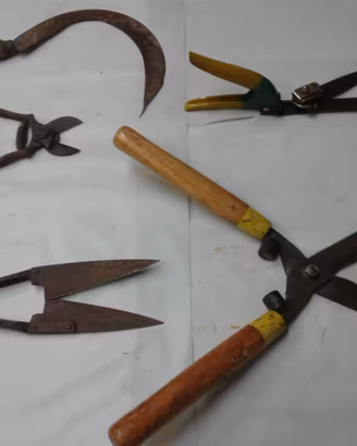Attrezzi per giardinaggio vecchi n°5