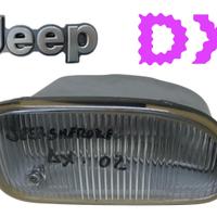 FENDINEBBIA ANTERIORE DX JEEP Cherokee 3Â° Serie (