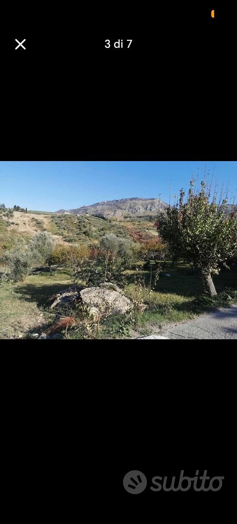 Terreno con alberi da frutto - Vista 3
