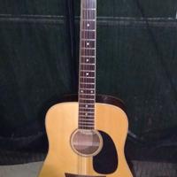 Chitarra acustica elettrificata