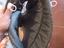 Immagine 6