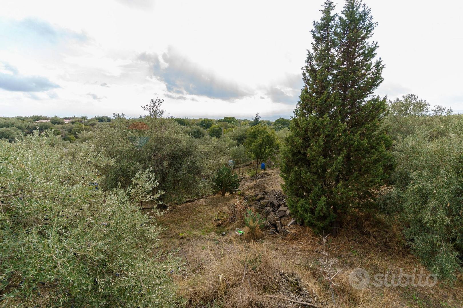 Casa – Belpasso, Borrello - Vista 3