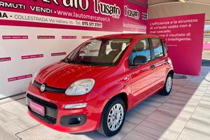 FIAT Panda 3ª serie Panda 1.2 Easy