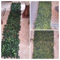 3 siepe artificiale per balcone 