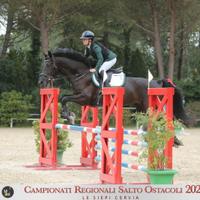 Sella italiana 2015 ustinov - grid girl