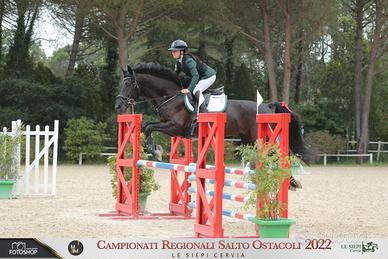 Sella italiana 2015 ustinov - grid girl