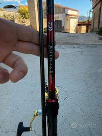 Daiwa ninja spinning