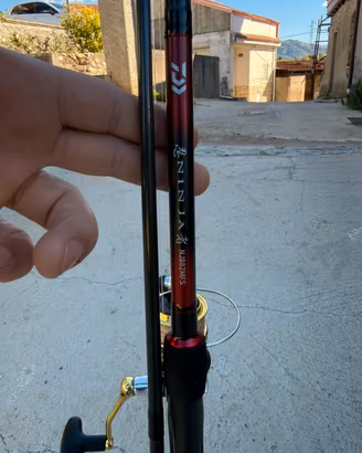 Daiwa ninja spinning