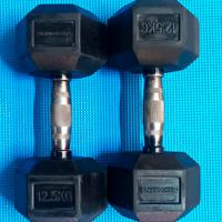 Coppia di manubri da 12,5kg