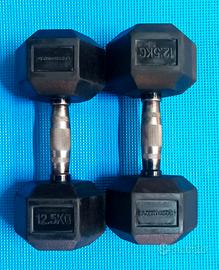 Coppia di manubri da 12,5kg