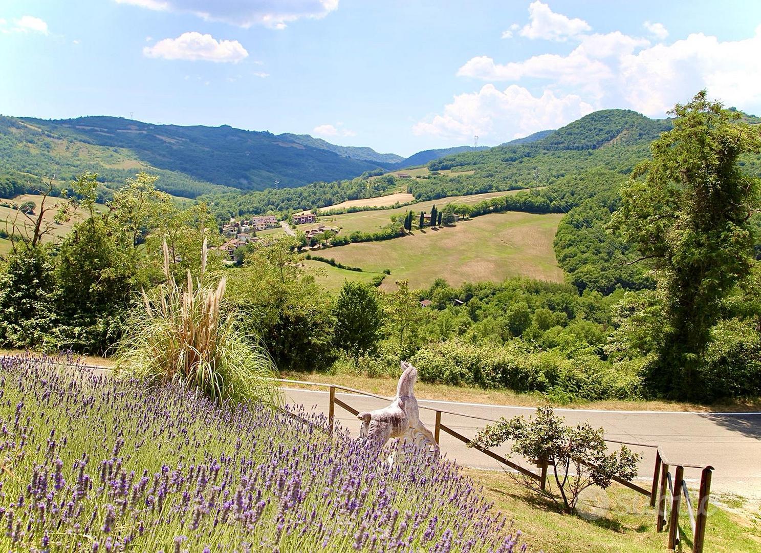 Terreno agricolo - Vista 2