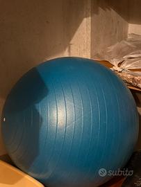 Palla per palestra
