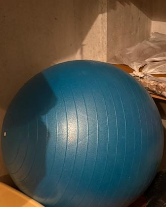 Palla per palestra