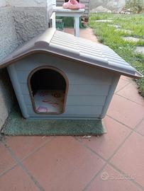 cuccia in PVC x cani piccola taglia 