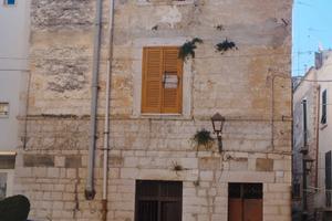 Zona centro storico ( rif 550 )