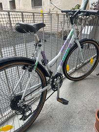 Bicicletta