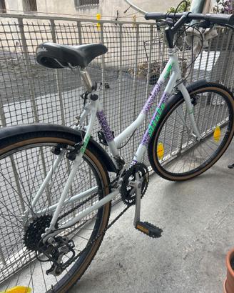 Bicicletta