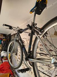 bicicletta vintage,tecnopower
