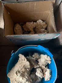 Rocce acquario marino