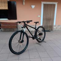 Bicicletta 29'