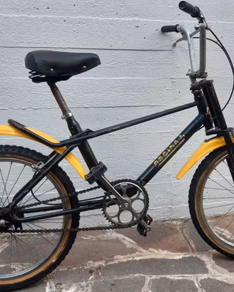 Bici Regina cross