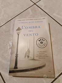 l' ombra del  vento