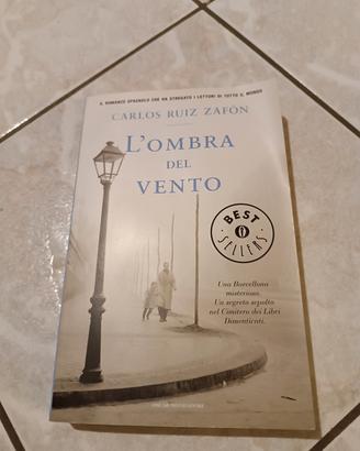 l' ombra del  vento
