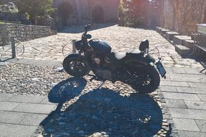 BENDA CHINCHILLA 500
