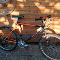 MTB Bianchi Predator