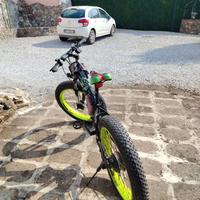 bici elettrica