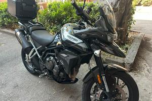 Triumph Tiger 900 GT Pro (2023) - Tagliandata Triu