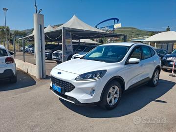 Ford Kuga 1.5 EcoBlue 120 CV anno 2022
